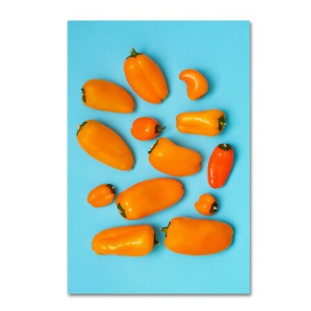 Trademark Fine Art Sarah Saratonina 'Orange And Blue' Canvas Art, 30x47 1X00720-C3047GG